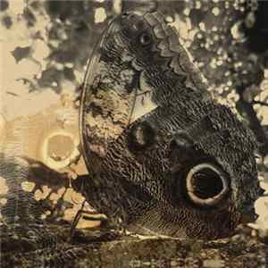 Louise Landes Levi - Ikiru Or The Wanderer FLAC album