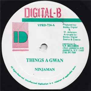 Ninjaman - Things A Gwan / Test The Hi Power FLAC album