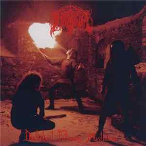 Immortal - Diabolical Fullmoon Mysticism FLAC album