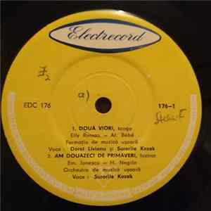 Various - Două Viori FLAC album