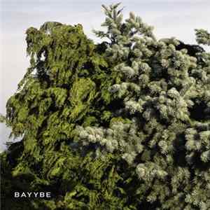 Bilo 503 - Bayybe FLAC album