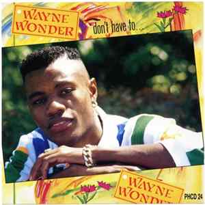 Wayne Wonder - Don't Have To... FLAC album