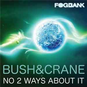 Bush & Crane - No 2 Ways About It FLAC album