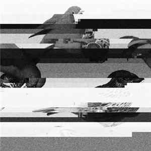 Szmt - Mirror Beak FLAC album