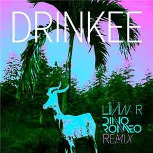 Sofi Tukker - Drinkee (Livin R & Dino Romeo Remix) FLAC album