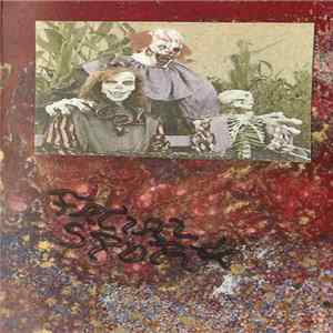 Facial Spore - Disorientation Time FLAC album