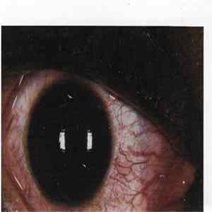 Pearl Jam - No Code FLAC album
