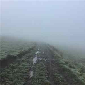 Good Good Blood - Mount Eerie FLAC album