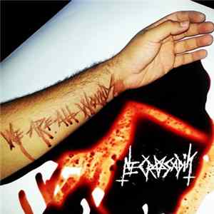 Necrosadik - We Are All Wounds FLAC album