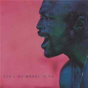 Seal - Human Beings FLAC album