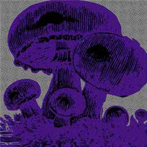 Astral & Shit - Digital And Destructive FLAC album