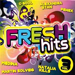 Various - Fresh Hits Vol 3 FLAC album