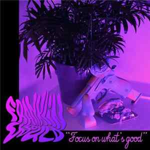 Franklin Would - Focus On What's Good FLAC album