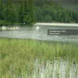 Mind Groove - Long Siesta FLAC album