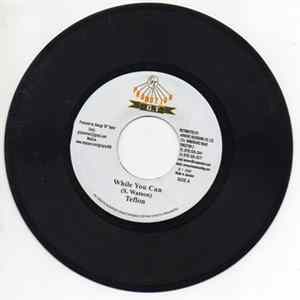 Teflon / King Hopton - While You Can / Hard Times FLAC album