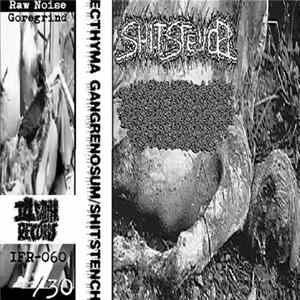 Ecthyma Gangrenosum / ShitStench - Ecthyma Ganrenosum / Shitstench FLAC album
