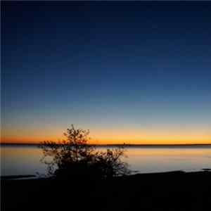 Sergey Tarasov - Immersion In The Night FLAC album
