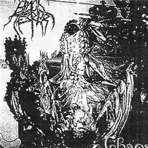 Black Terror - Chaos FLAC album