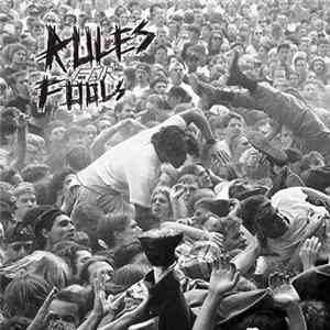 Rules For Fools - Rehearshal 14.06.14 FLAC album