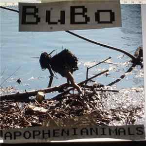 Bubo - Apophenianimals FLAC album