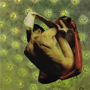 Red Queen Hypothesis - Contorted in Deep Space FLAC album