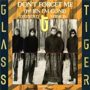 Glass Tiger - Don't Forget Me (When I'm Gone) FLAC album