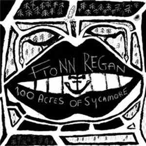 Fionn Regan - 100 Acres Of Sycamore FLAC album