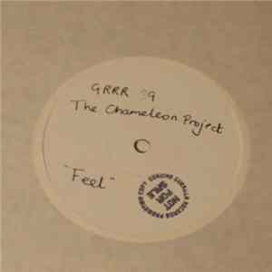 The Chameleon Project - Feel FLAC album