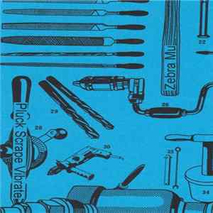 Zebra Mu - Pluck Scrape Vibrate FLAC album