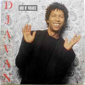 Djavan - Bird Of Paradise FLAC album