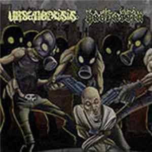 Unsane Crisis / Hashassin - Unsane Crisis / Hashassin FLAC album