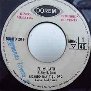 Ricardo Ray y Su Orquesta - El Mulato / Pachanga Medley FLAC album