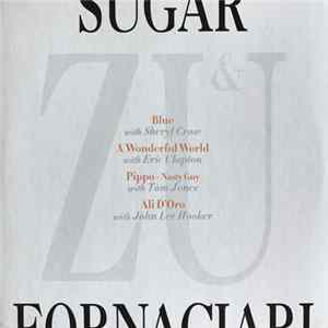Zucchero Sugar Fornaciari - Zu & Co FLAC album