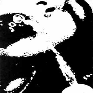 Super Eight Loop - Super Eight Loop 31 FLAC album