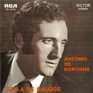 António De Noronha - Trela De Galgos FLAC album