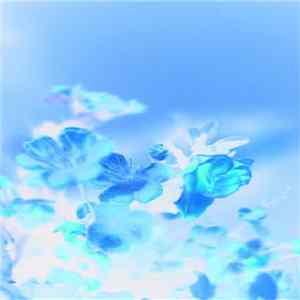 Hugh Hopper - Coral Baby FLAC album
