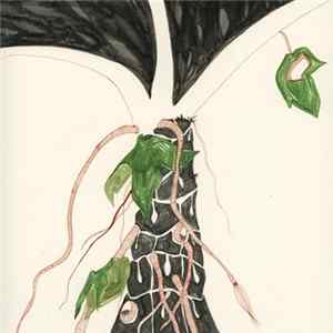 Alps / Jasmine Loop Control - Split 3" FLAC album