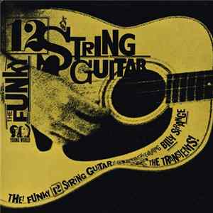 Billy Strange And The Transients - The Funky Twelve String Guitar FLAC album