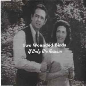 Two Wounded Birds - If Only We Remain FLAC album