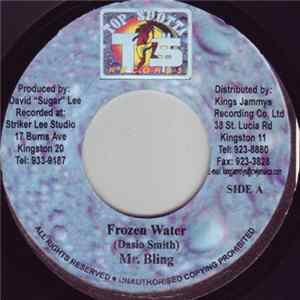 Mr. Bling - Frozen Water FLAC album