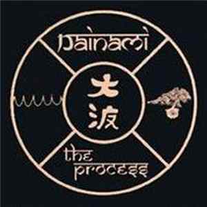 Dainami - The Process FLAC album