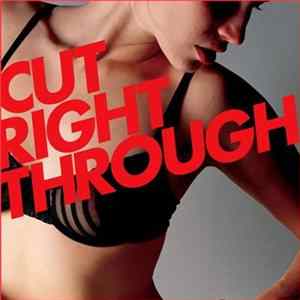 Cicada - Cut Right Through FLAC album