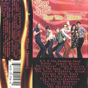 Various - That '70s Show Presents: That '70s Jammin' Album FLAC album