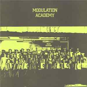 Auto K / Analogical Mind - Modulation Academy FLAC album