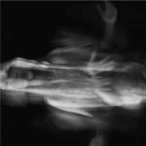 Shtyro - Live Vile FLAC album