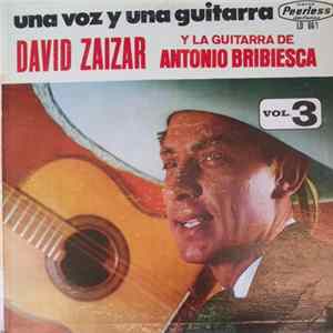 David Zaizar Y Antonio Bribiesca - Una Voz Y Una Guitarra Volumen 3 FLAC album