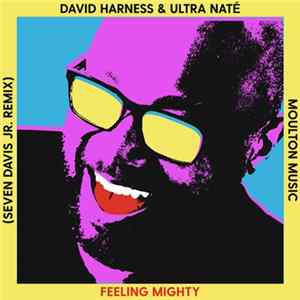 David Harness & Ultra Naté - Feeling Mighty (Seven Davis Jr. Remix) FLAC album