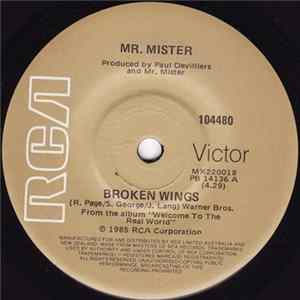 Mr. Mister - Broken Wings FLAC album