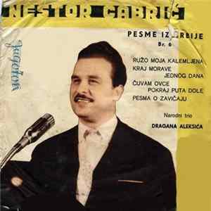 Nestor Gabrić - Ružo Moja Kalemljena FLAC album