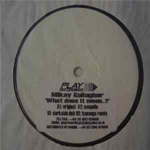 Mikey Gallagher - What Does It Mean? E.P' FLAC album